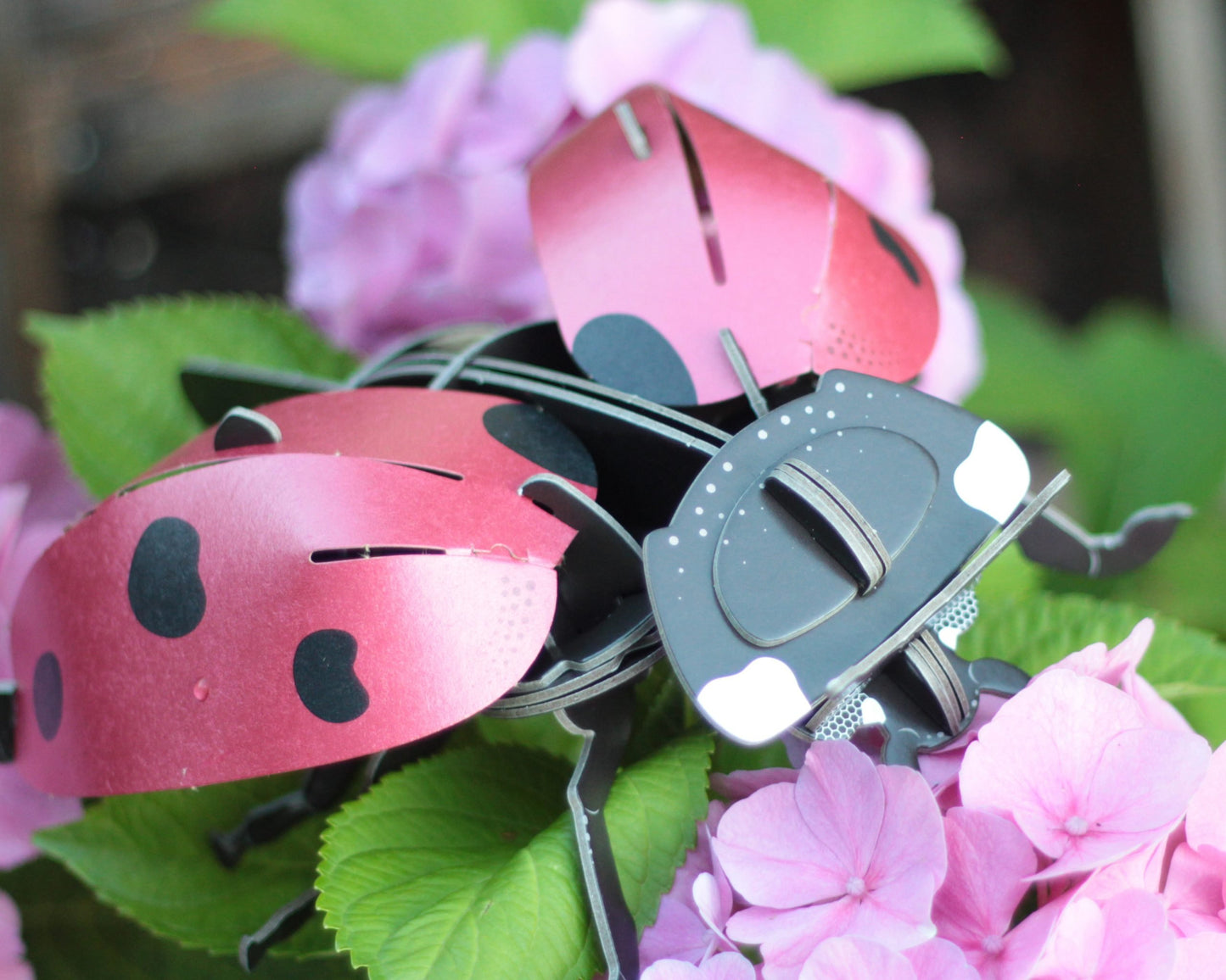 Ladybird Mini Build