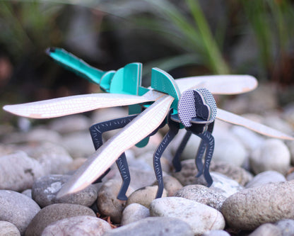 Dragonfly Mini Build