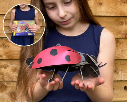 Ladybird Mini Build