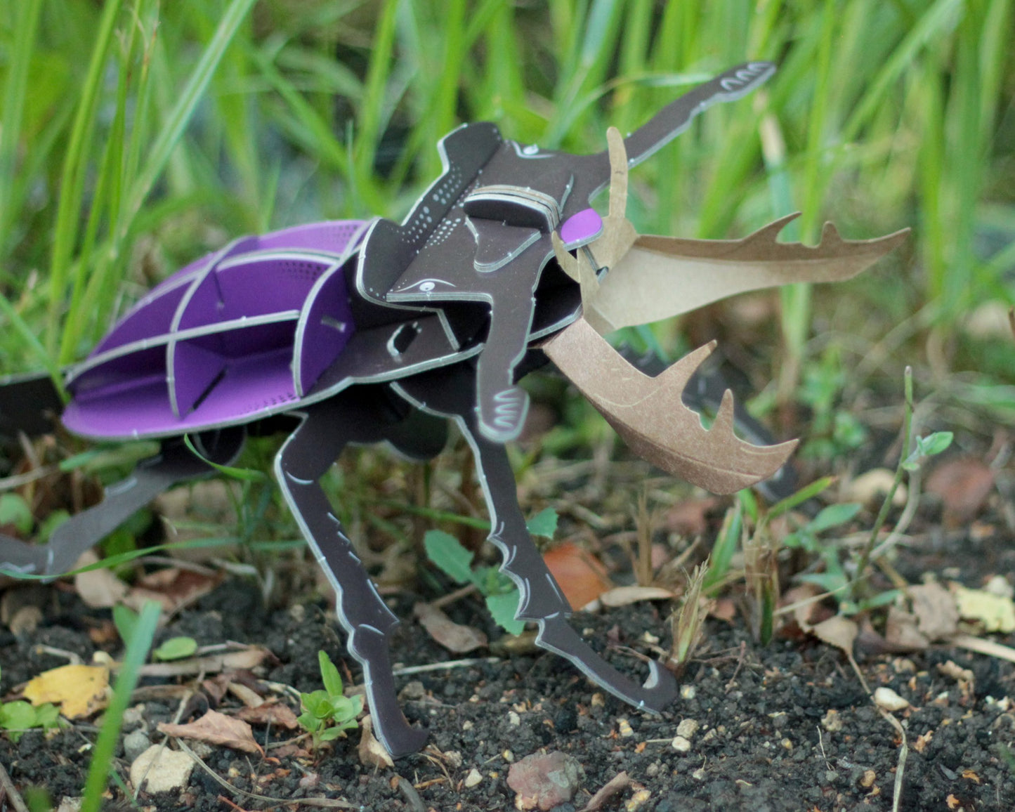 Stag Beetle Mini Build