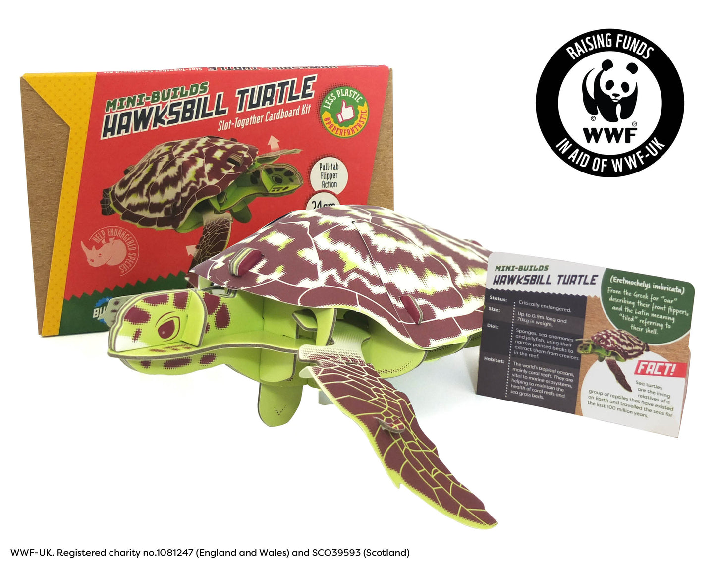 Hawksbill Turtle Mini Build
